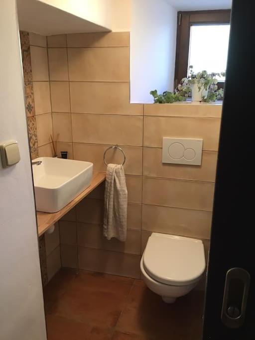U Zivlu Bed & Breakfast Brloh Bagian luar foto